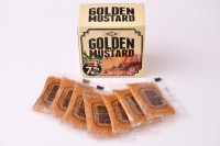 【ゴールデンマスタード(ゴールド)小箱】使い切りタイプ販売開始、お弁当･アウトドア･レジャーにも/GOLDEN MUSTARD