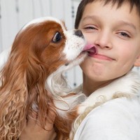 犬との『キス』が危険な理由３つ　感染症のリスクや日頃からできる対策とは