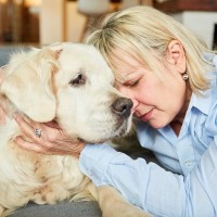 犬の『免疫力低下に繋がる』5つのタブー行為　愛犬の健康維持のためにすべきこととは？