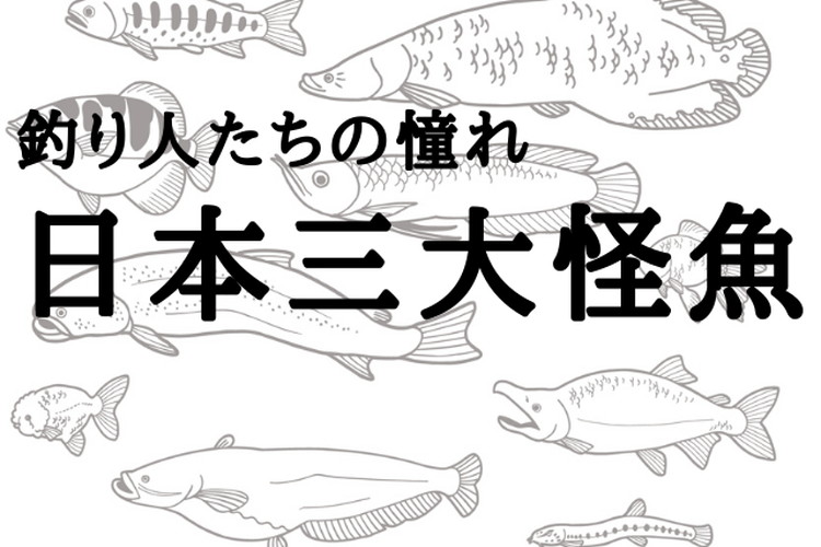 日本三大怪魚】それは希少性の高い釣り人たちの憧れの魚たち！！ - Cube ニュース