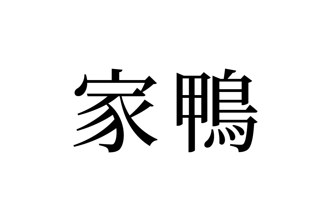 【読めたらスゴイ！】「家鴨」って何のこと！？一度は見たことがあるハズ！この漢字、あなたは読めますか？