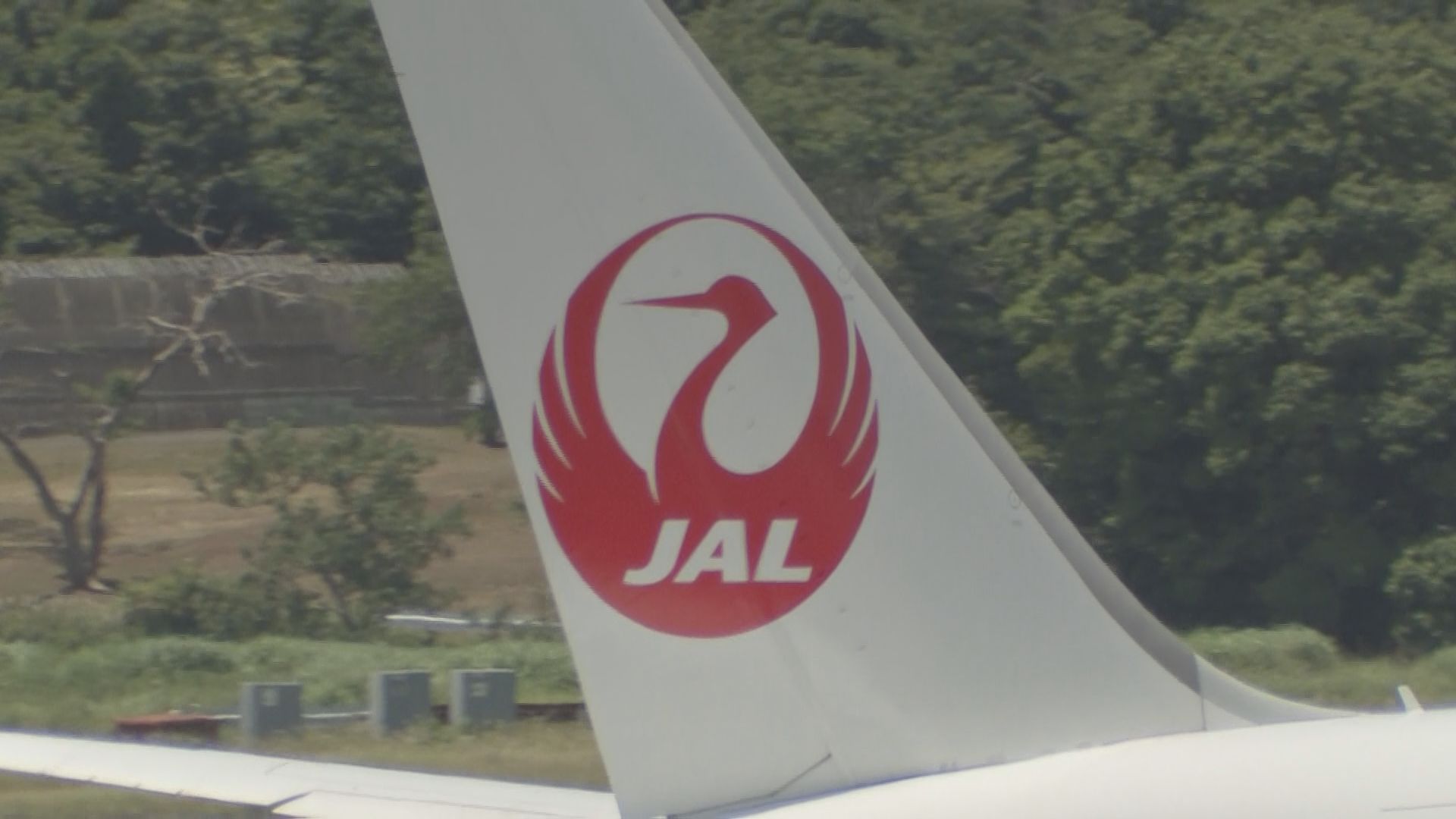 日本航空の客室乗務員が航空機の揺れの影響で骨折の重傷の航空事故　運輸安全委員会が調査
