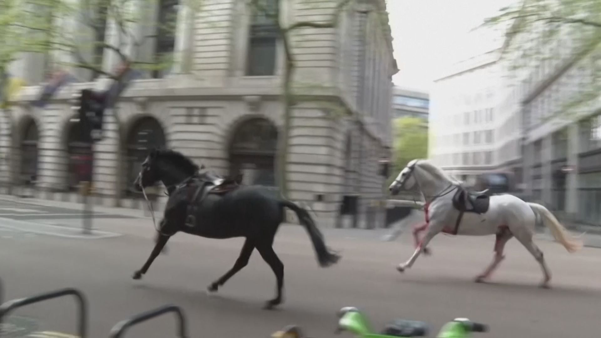 ロンドンの街中に“馬”？！　騎兵隊の馬が訓練中に逃走　けが人も