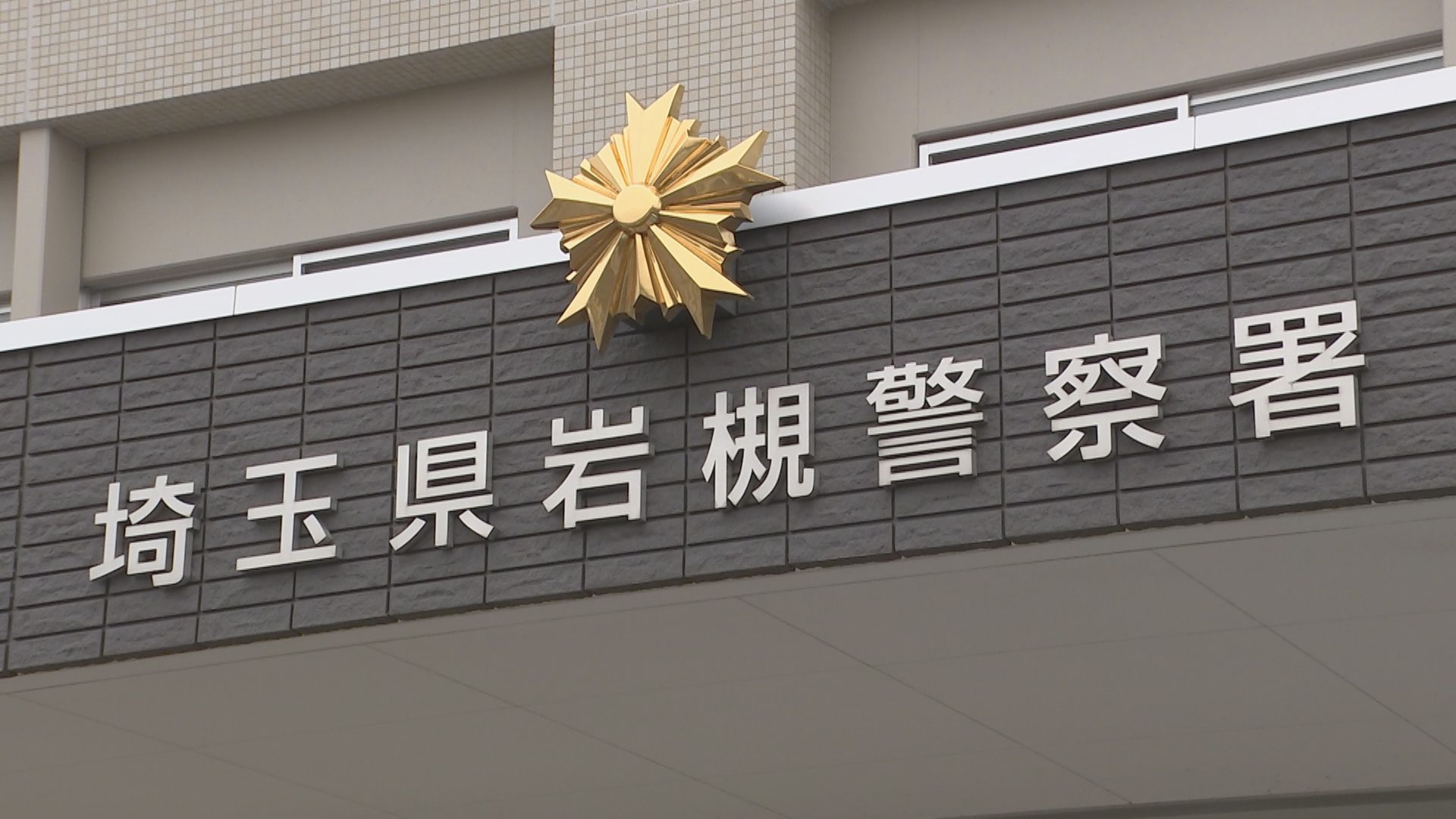 体長約70センチ、黒毛の甲斐犬が住宅から脱走　狂犬病の予防接種済み　さいたま市・岩槻区