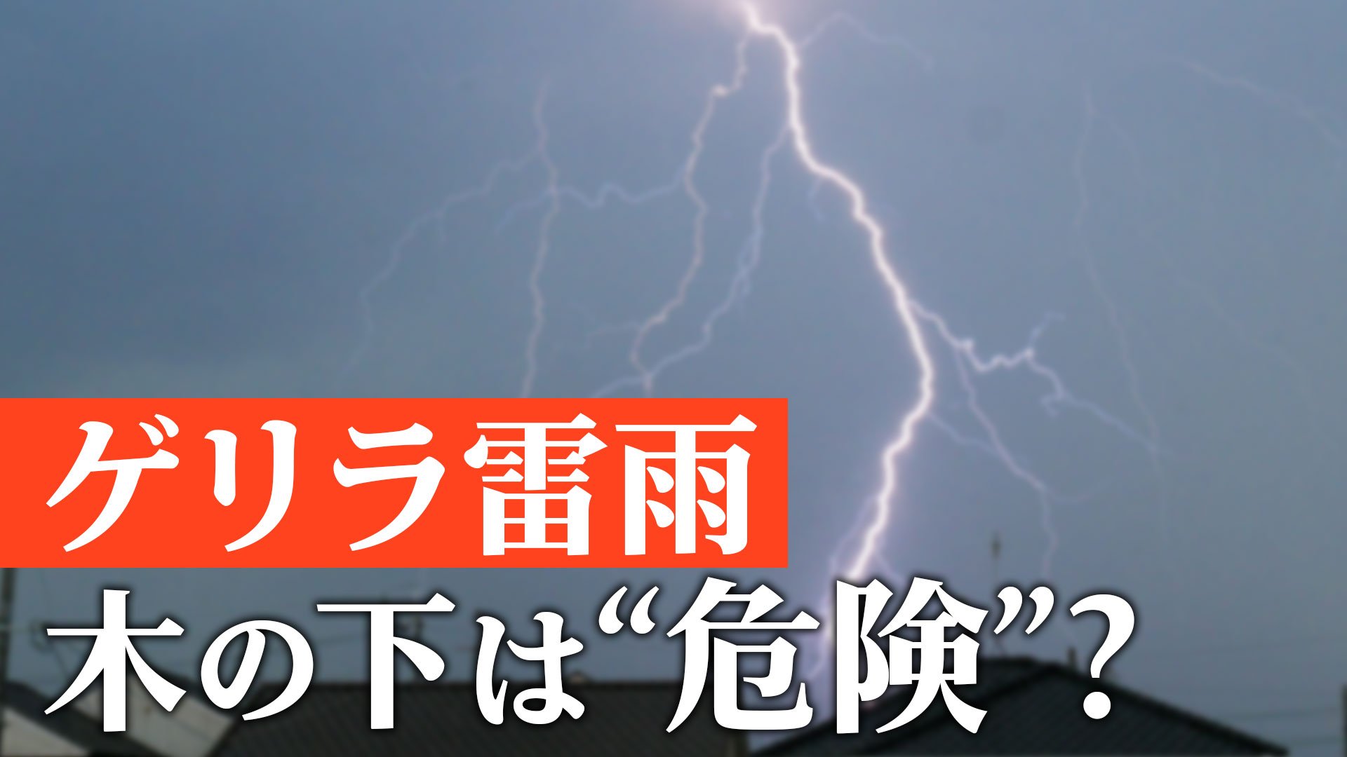 雷が発生したら「木の下」は危険　「電線の下」への避難　ゲリラ雷雨に要注意