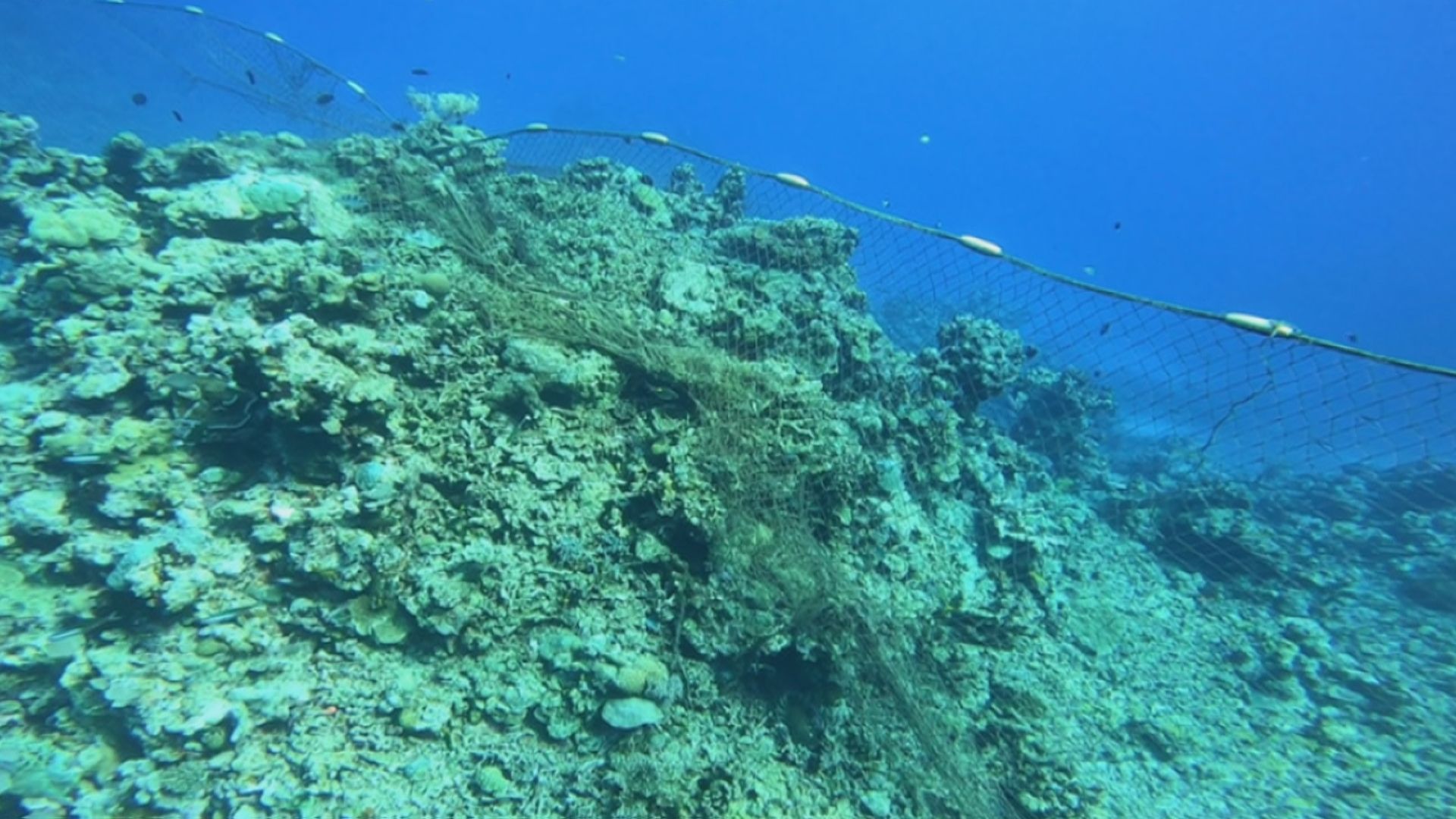 南シナ海問題　中国が環境面からもけん制「フィリピンが座礁させた軍艦の影響でサンゴが被害を受けている」