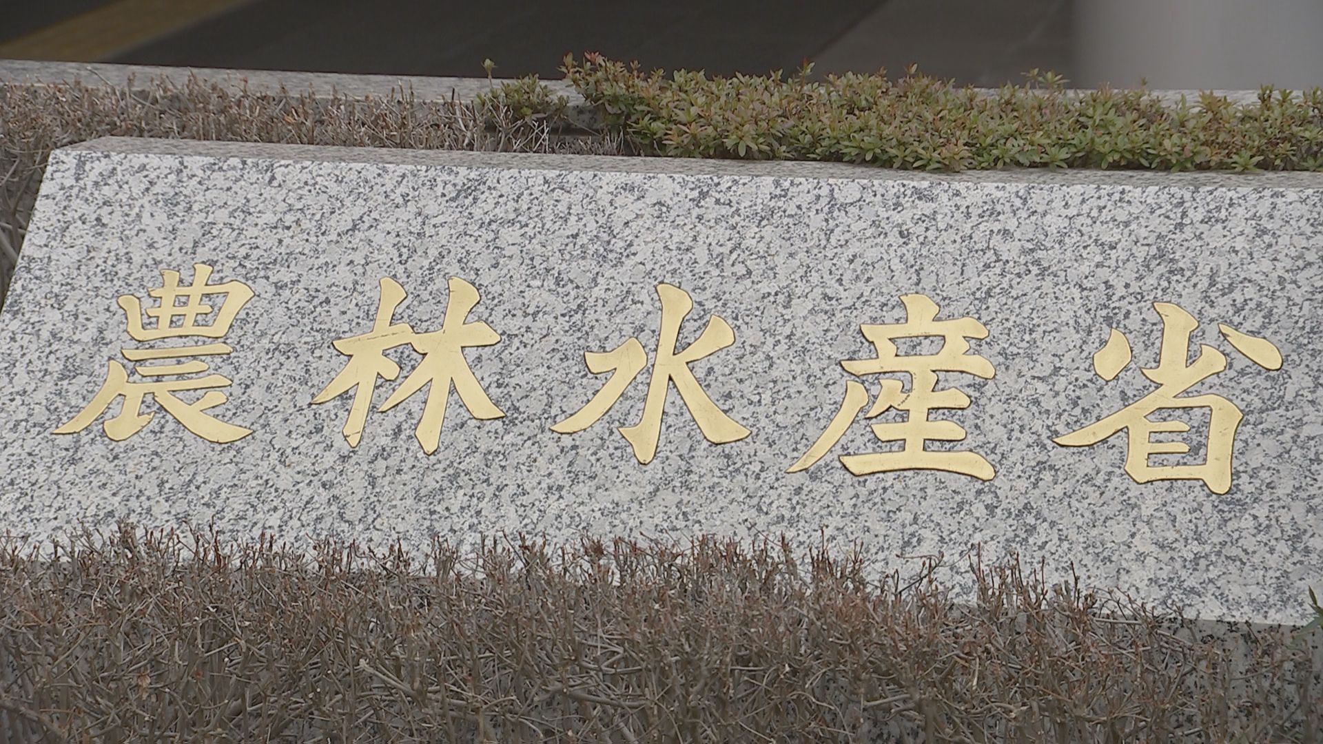 2023年度食料自給率38％　3年連続同じ低い数字　国産原料で作られる砂糖の量が減ったことなどから