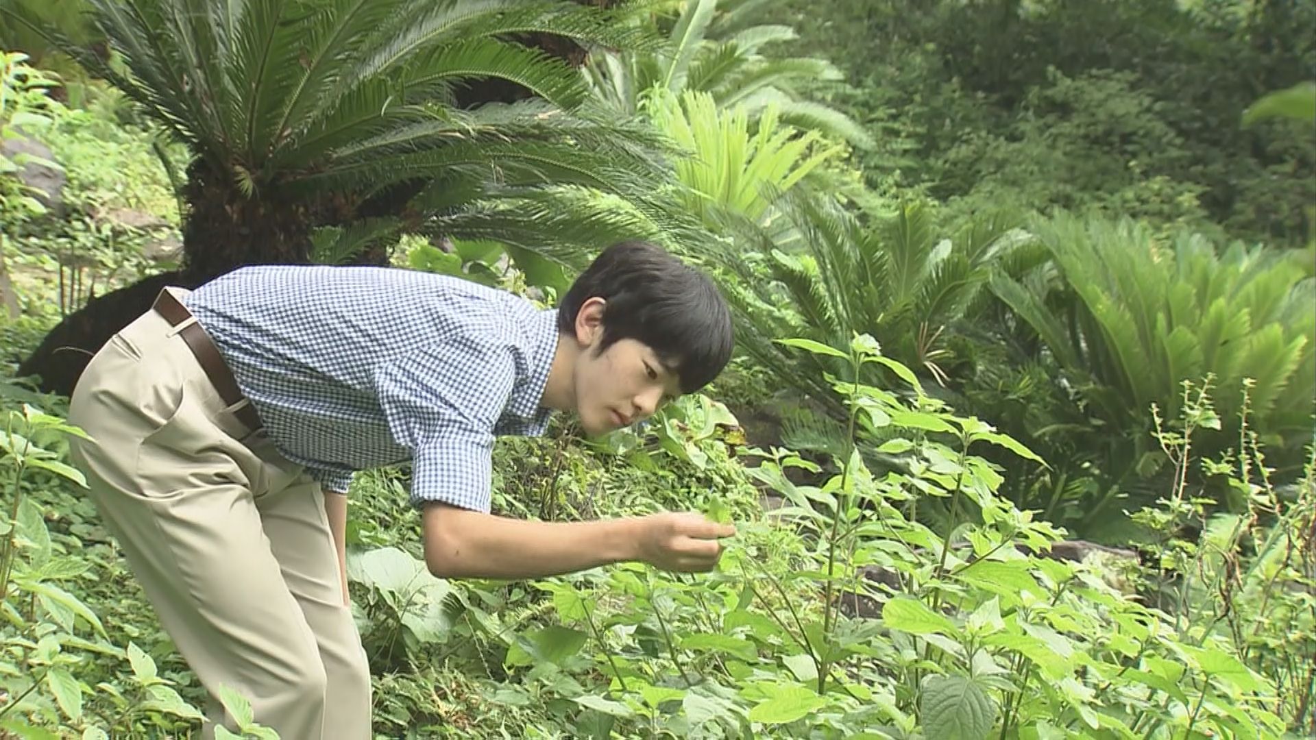 悠仁さま18歳の成年に 「進路実現」に努めると感想　男性皇族の成年は39年ぶり