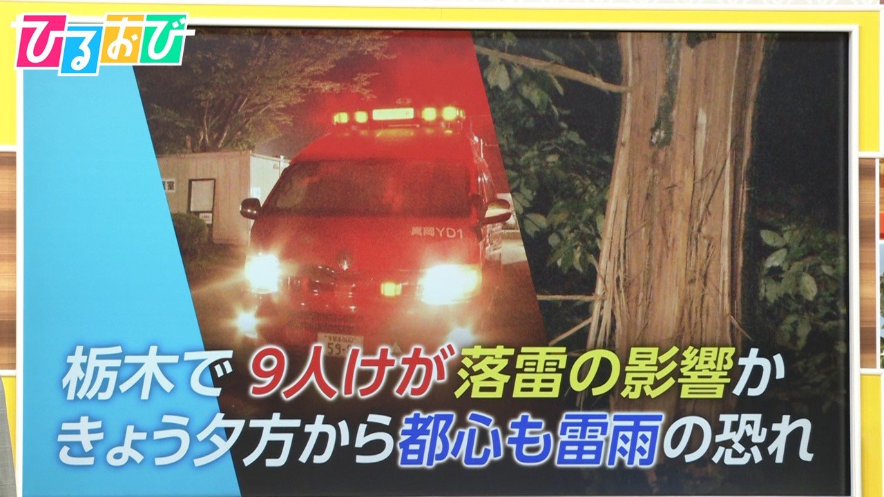 各地でゲリラ豪雨 「雷」から身を守るにはー 音楽イベントで9人けが 落雷の影響か？【ひるおび】