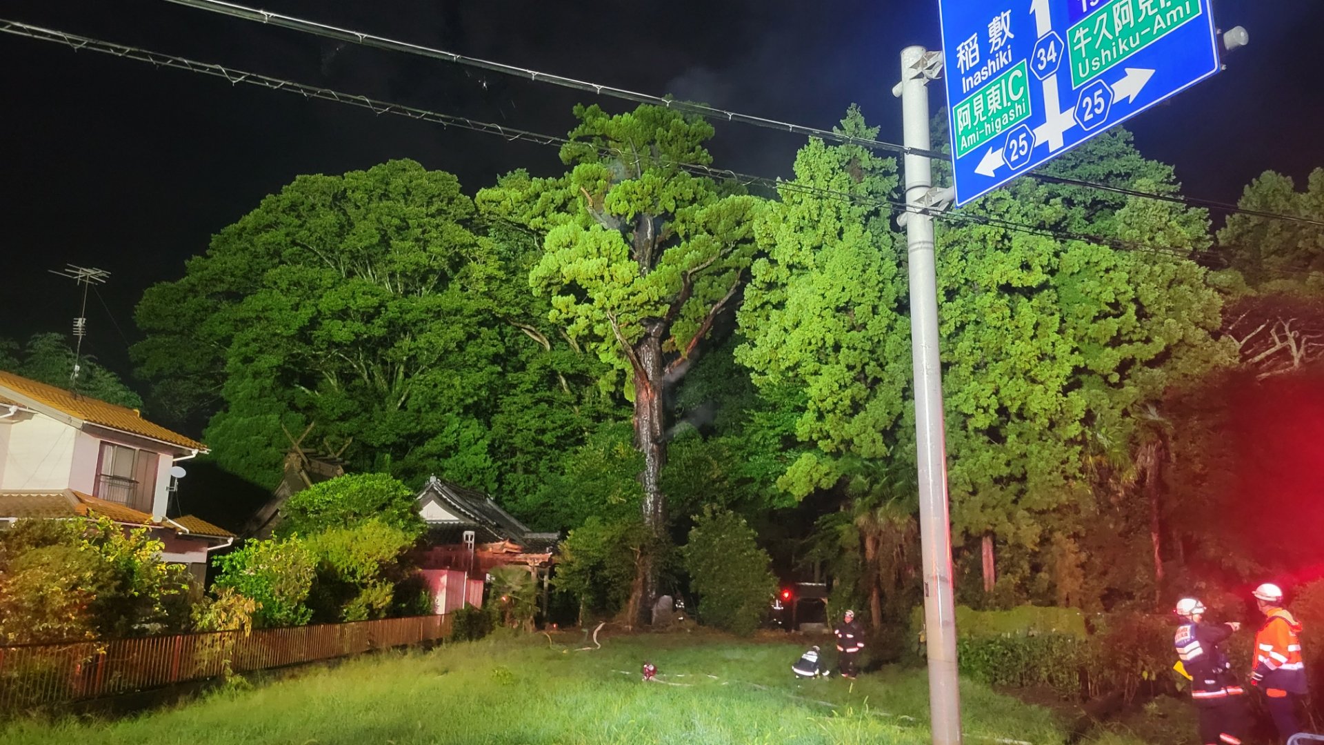 「御神木から煙が出ている」樹齢500年以上の木が焼ける　落雷が原因か　町の天然記念物にも指定　茨城・阿見町