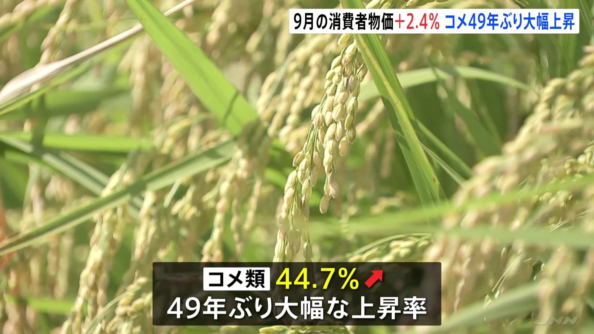 【速報】9月の消費者物価指数2.4%上昇…コメ類は44.7%上昇と49年ぶりの歴史的上昇率に