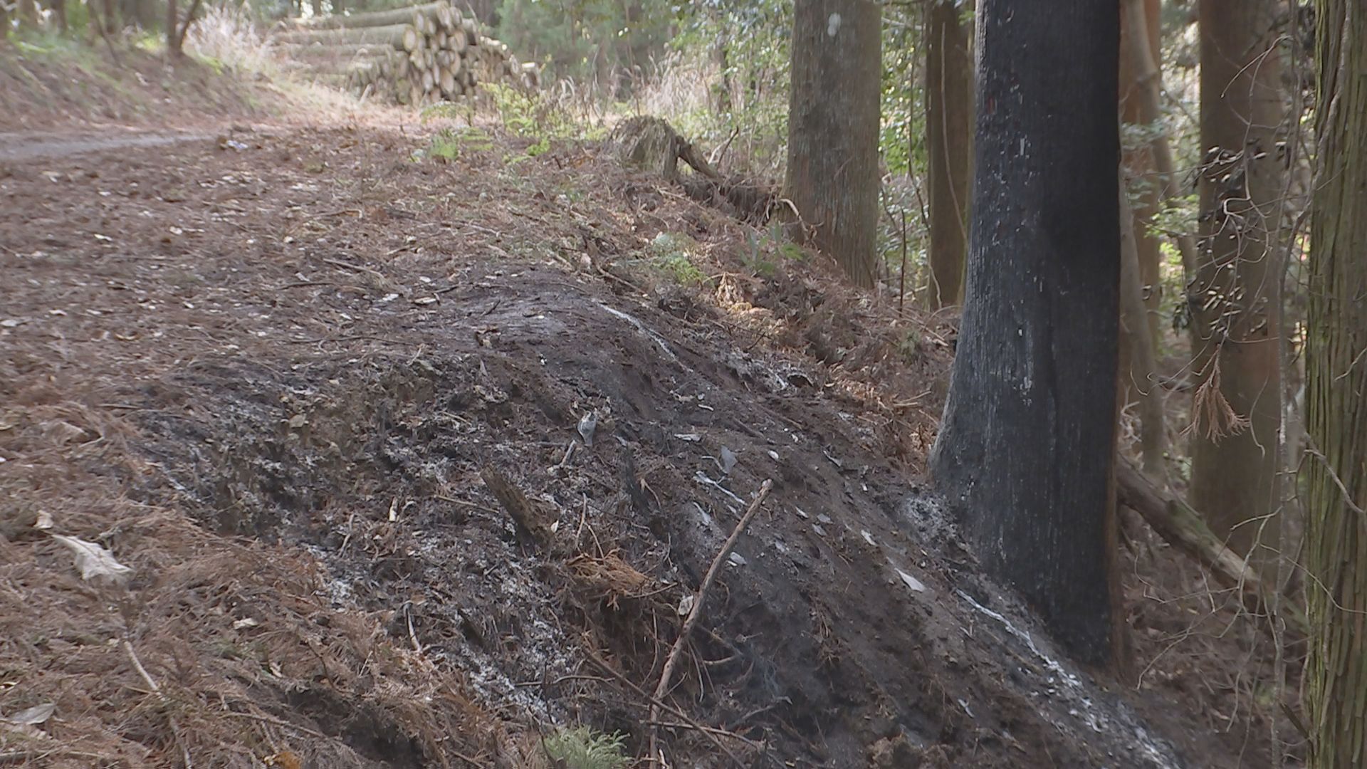 千葉・大多喜町でベトナム国籍の男性遺体遺棄などの疑いでベトナム国籍の男4人を再逮捕　大麻栽培の売上金をめぐるトラブルが原因か　千葉県警