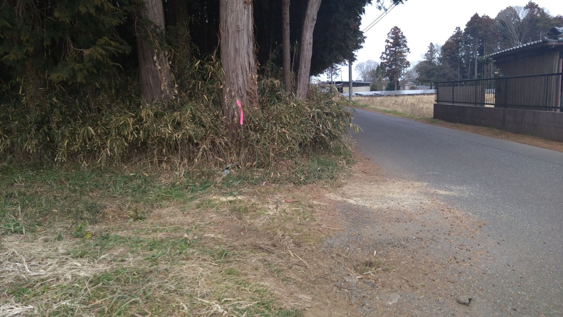 軽トラックが道路脇の木にぶつかる　運転手の男性の死亡確認　茨城県・小美玉市