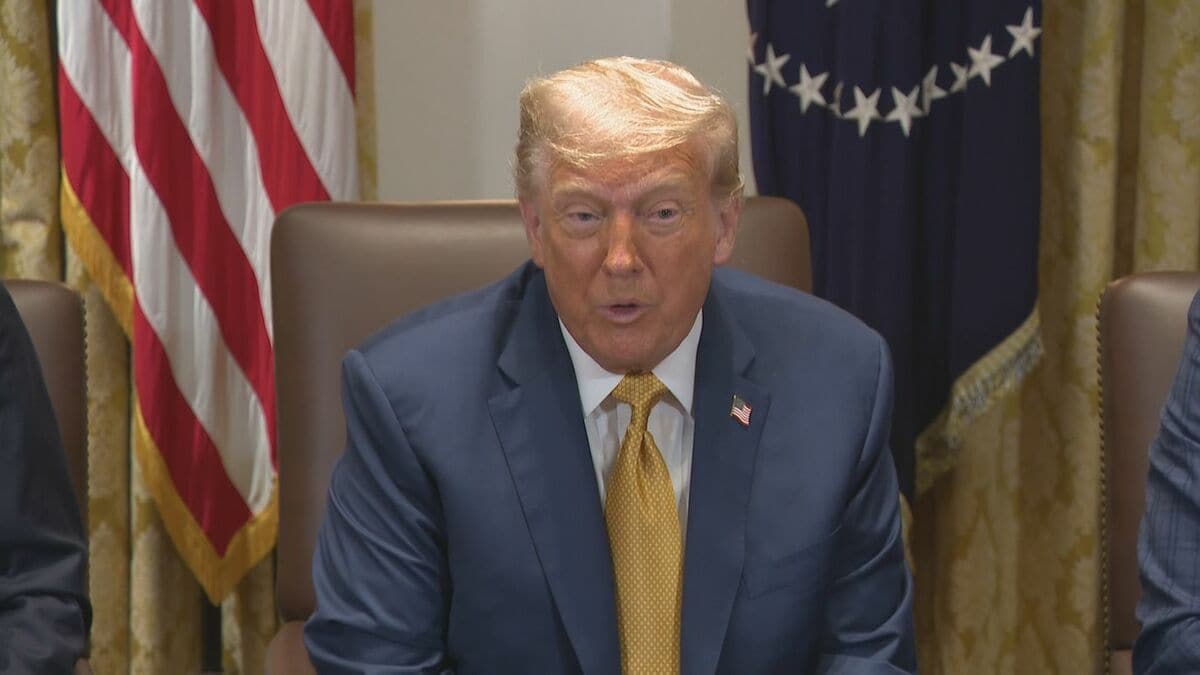 トランプ大統領 ウクライナへのパトリオットの追加供与を検討 米紙報道