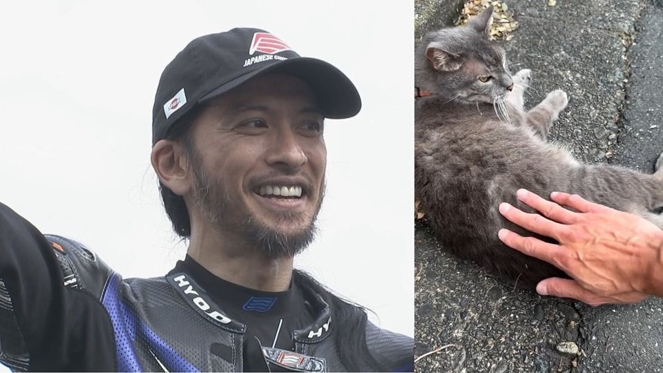 【 長瀬智也 】猫の “枯葉ファイト” に参戦「#とら子 #ありがとう」　レースの余韻が伝わる投稿