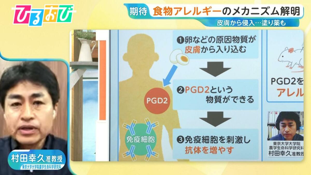 肌から体内へ「食物アレルギー」メカニズム初解明 “塗り薬”で予防も 東大研究者が解説【ひるおび】