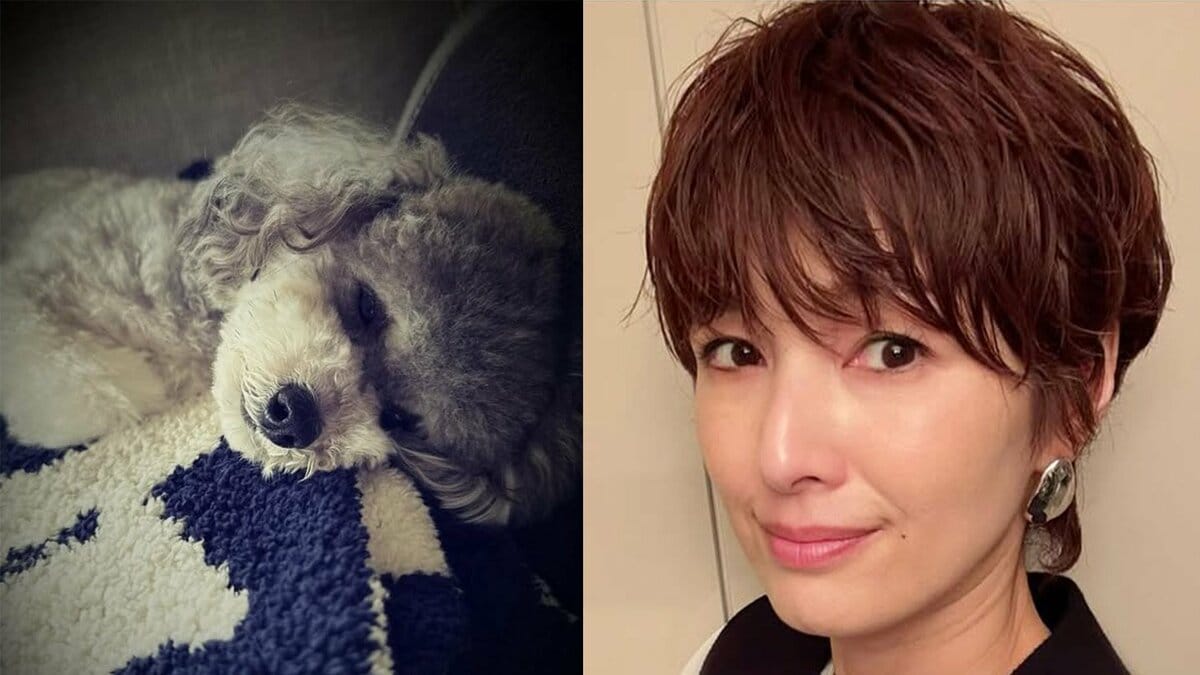 【吉瀬美智子】 1歳10か月の愛犬との別れ「短過ぎるけど、沢山の思い出をありがとう!ずっと一緒だよ!」