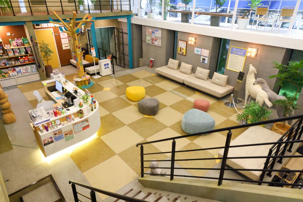 犬と猫、別々の待合室にも意味がある『初恋DOGs』動物病院に説得力を足す美術とは