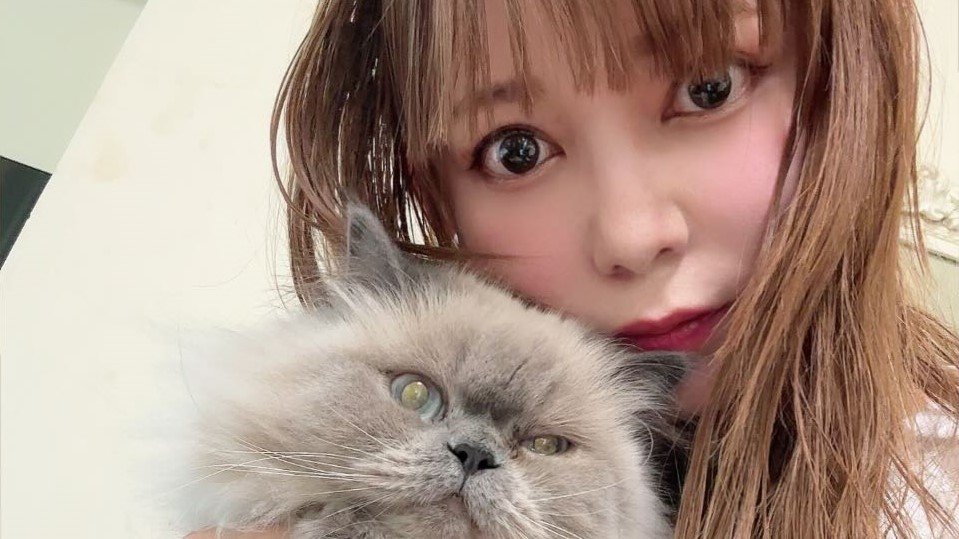 【 中川翔子 】産休の不安にファンからエール「心配ない 芸能界で唯一無二の存在だから」 ストーリーズでおしゃべり&質問タイム