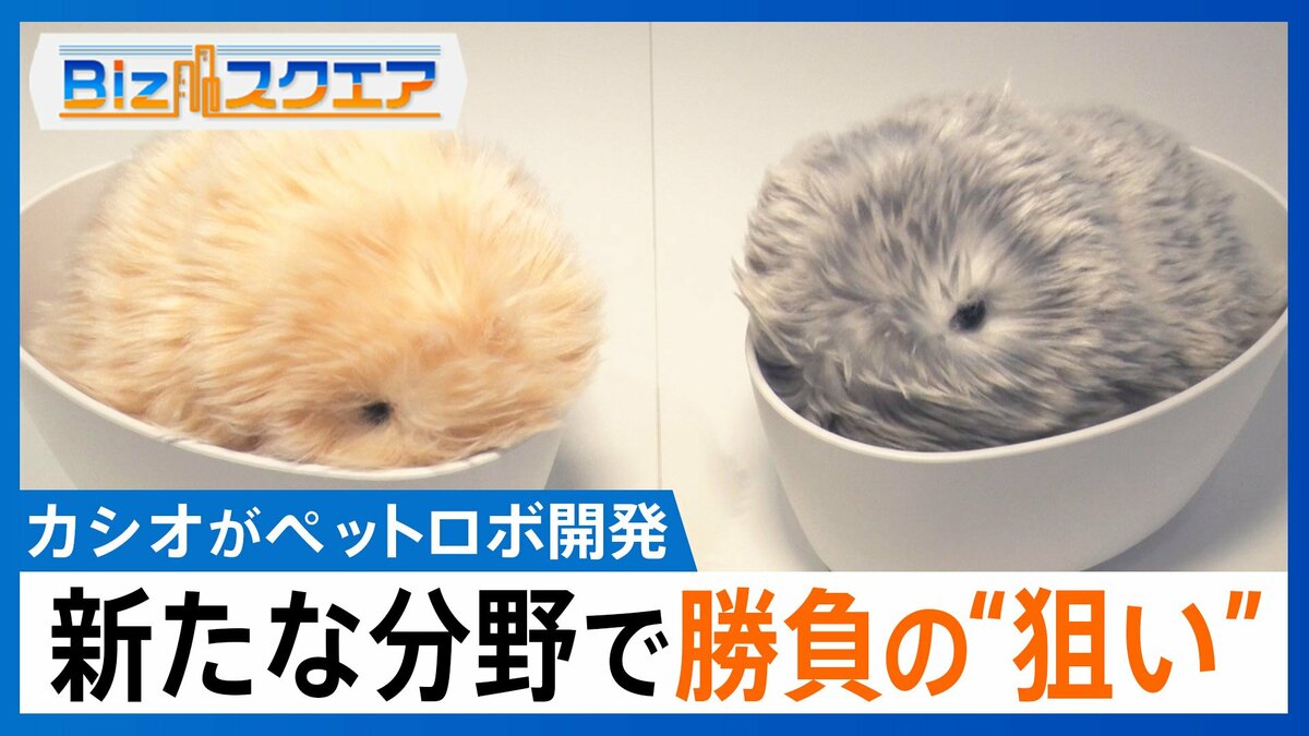 鳴いて動いて「人になつく」…カシオ「5万円台のAIペットロボ」開発の狙いとは?【Bizスクエア】