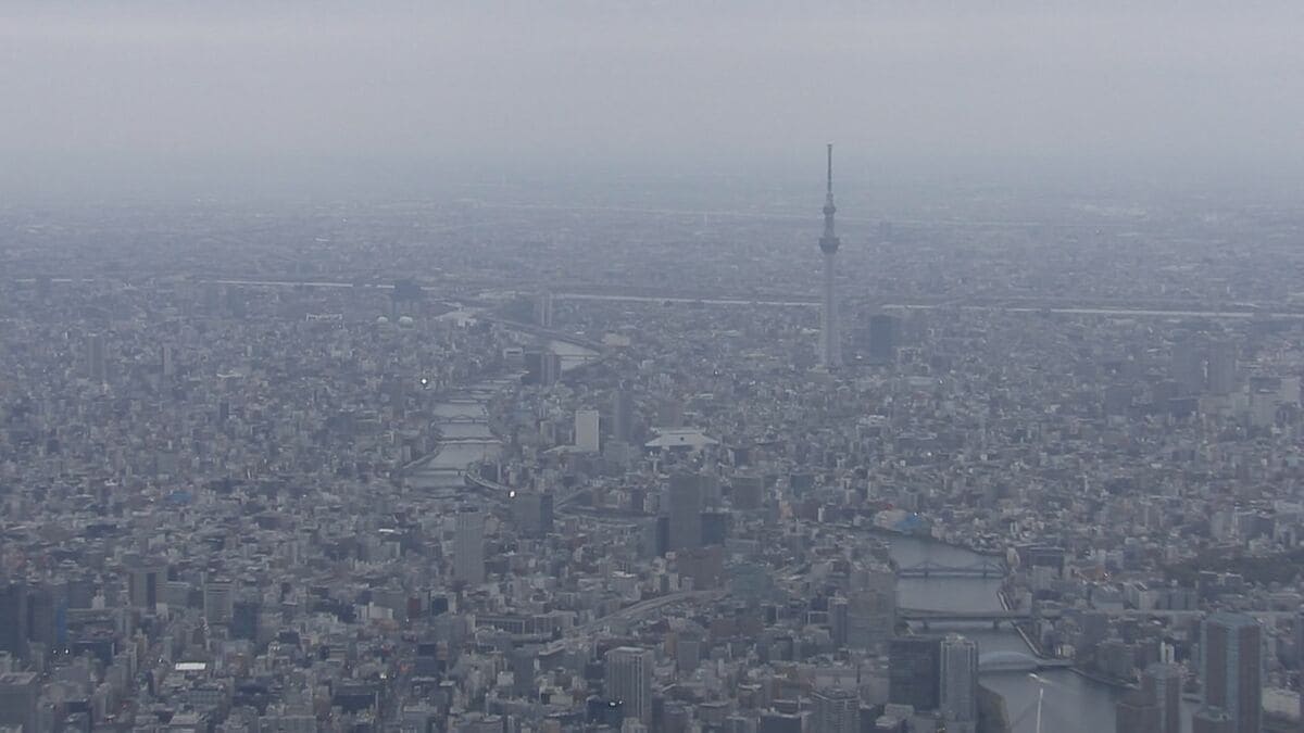 7月の倒産件数900件超で今年最多 “トランプ関税”の影響で年間倒産1万件超の可能性も