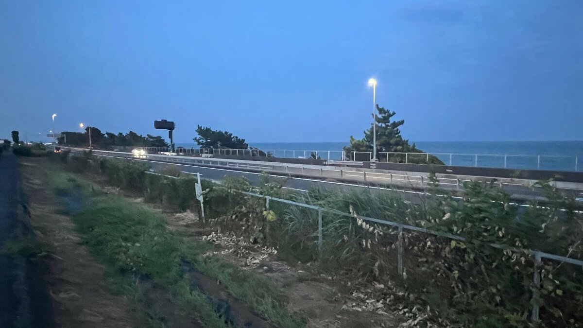 「高速道路を子どもが歩いている」11歳男児 自動車専用道路で乗用車にひかれ顔と足の骨を折るけが 警察 男子が道路に入った経緯など調べる 神奈川・小田原市