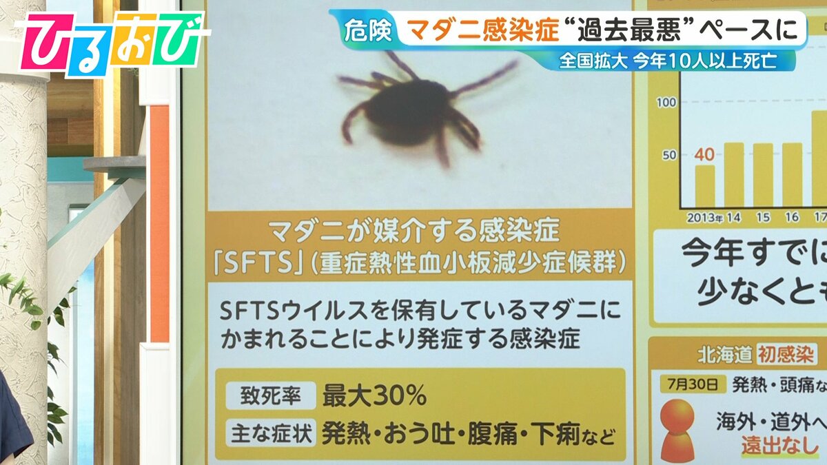 帰省先でも注意！「マダニ感染症」今年10人以上死亡“過去最悪”ペースに…対策は？【ひるおび】