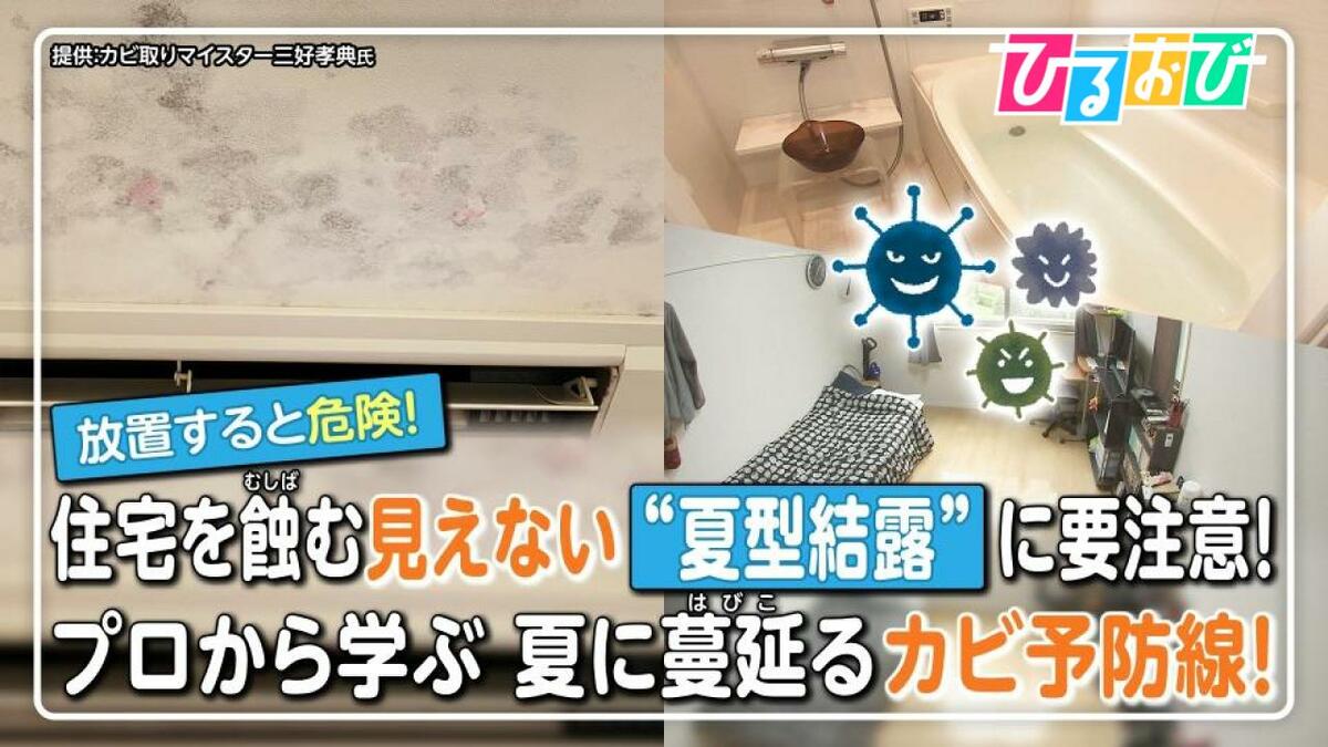 夏も危険な「カビ」見えない“夏型結露”に要注意!壁の中のカビを見抜くサインは?プロに聞きたいカビの疑問【ひるおび】