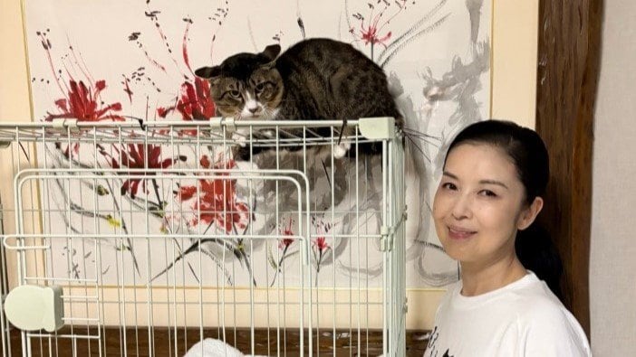 【 ねこ 】藤あや子さん　外猫「じゃこ天」くんを “新しい家族” として保護　「マルオレちゃんの弟分になりました！」　現在はケージ内で慣らし中
