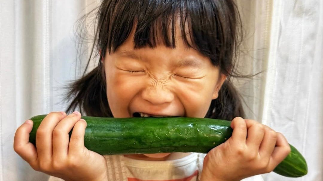 【 ののちゃん 】大きなきゅうり「まるかじり！！！」　 “前歯ないけどがんばってます” 　妹・ひーちゃんもがんばる