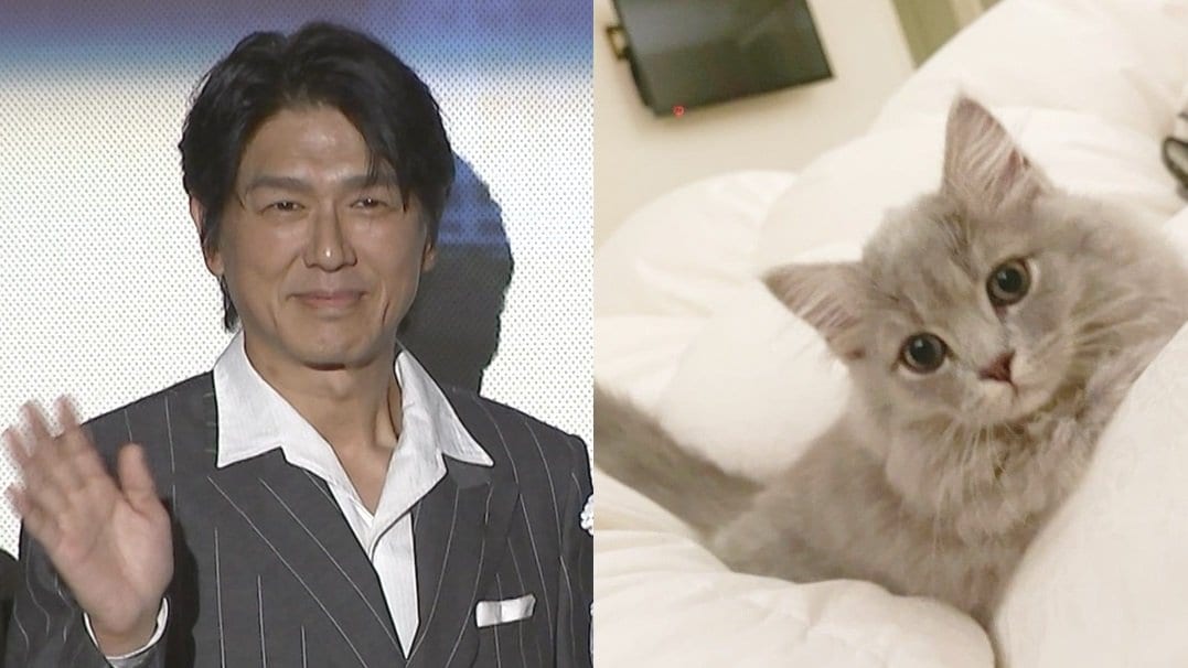 【 ねこ 】高橋克典さんの愛猫「ミルリィ」少しずつ馴染む 「だいぶ近づいてきてくれるようになりました」