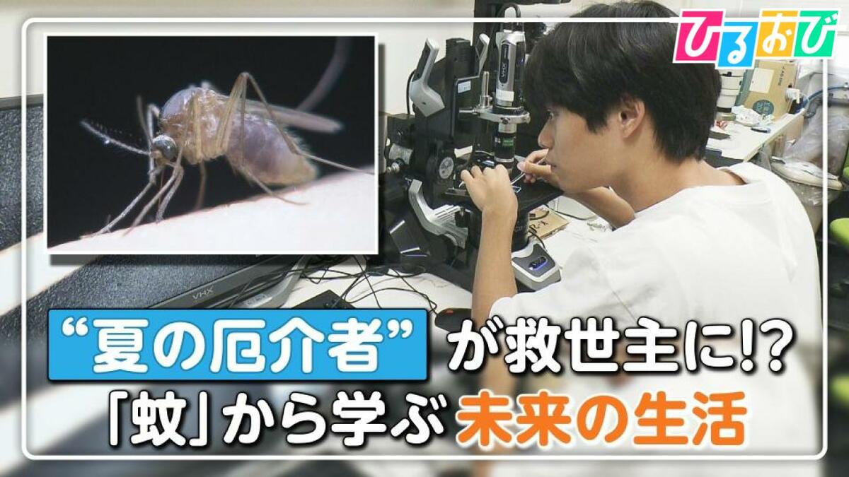蚊に刺されても痛くないのはなぜ?「蚊」に学ぶテクノロジー「“痛くない”注射」や「気流感知ドローン」も【ひるおび】