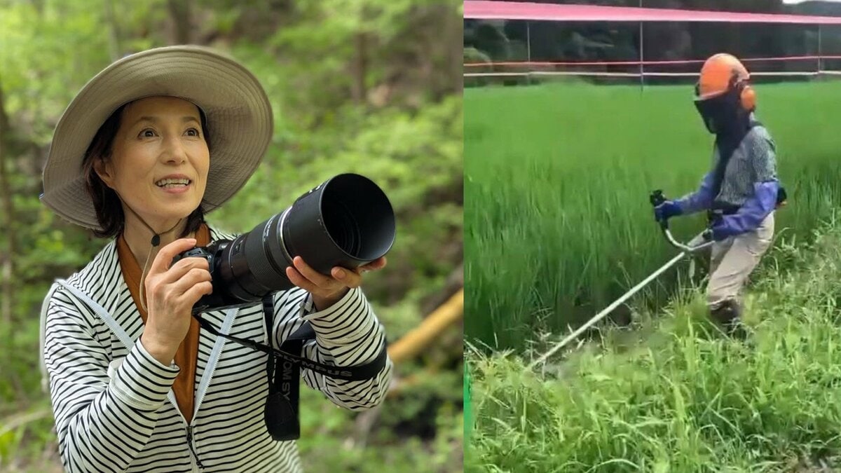 【磯野貴理子】　オレンジヘルメット姿で草刈り「人が手入れをした場所をイノシシは敬遠する」田んぼの現状と野生動物対策を報告