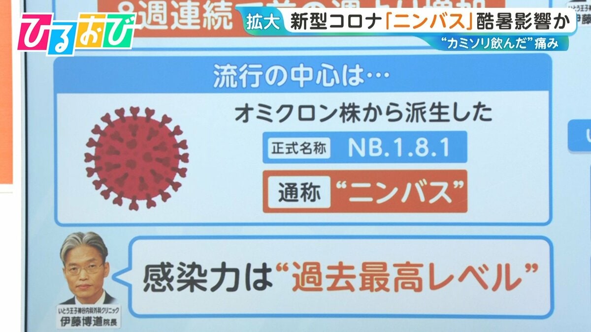 “カミソリを飲んだ”痛み…新型コロナ「ニンバス」が流行 酷暑も影響か 受診のタイミングは?【ひるおび】