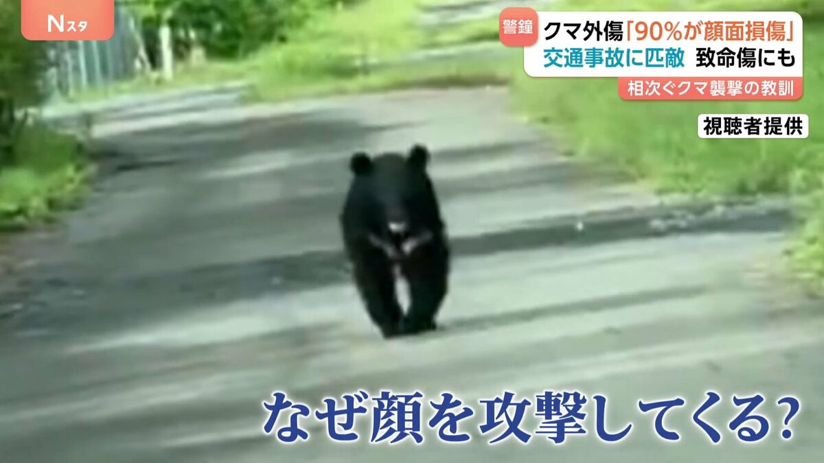 クマによる外傷“顔面損傷が約9割”致命傷も… 救命に聞く命守る“防御姿勢”とは?