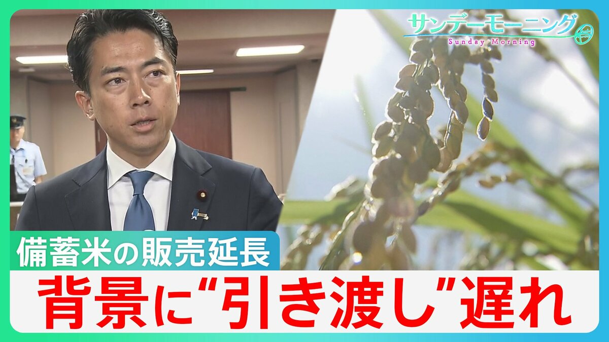 「大変嬉しい決定」備蓄米販売期間を9月延長も…背景に“引き渡し”の遅れ 新米高騰で続くコメ価格の二極化【サンデーモーニング】