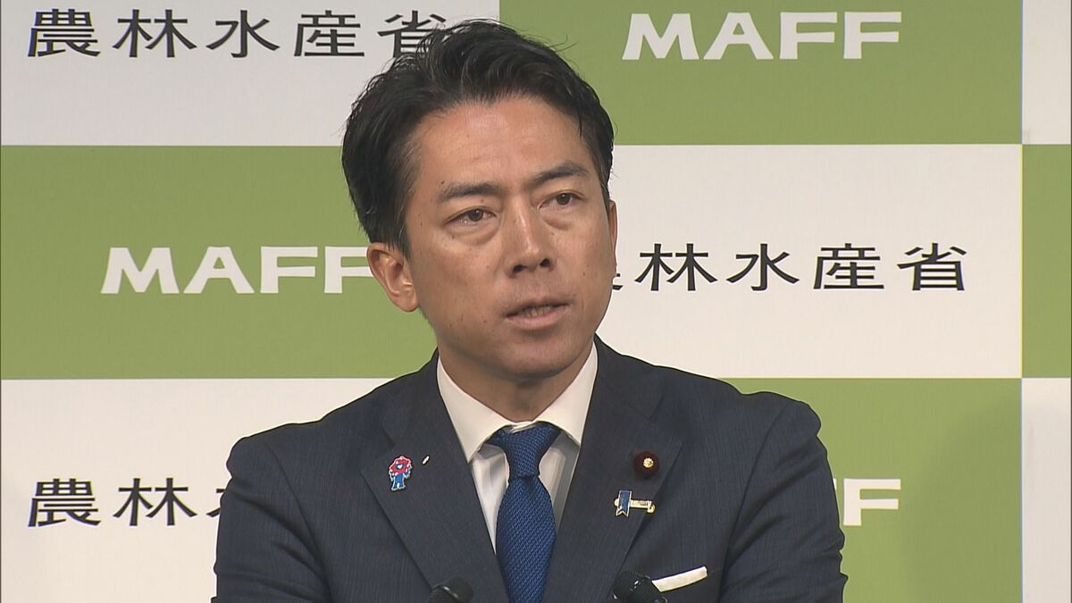 販売期限延長の“随意契約の備蓄米”　小泉農水大臣「圧倒的に引き続き全量配送を希望されている」 251業者のうち約8割が引き取りを希望