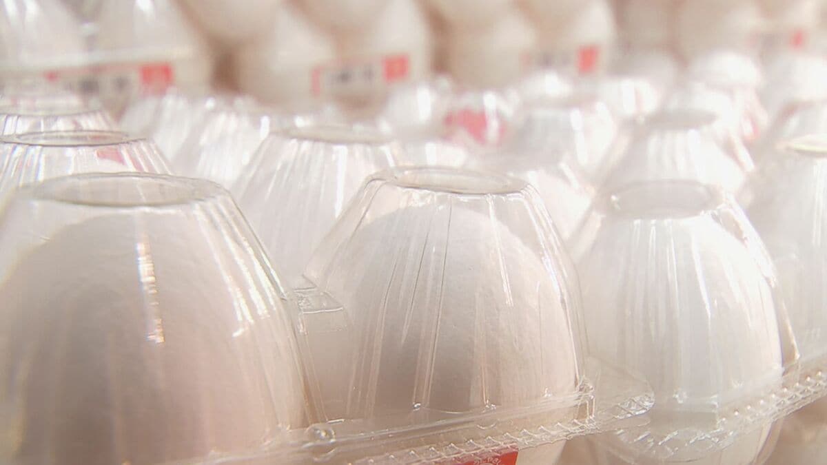 “物価の優等生”たまごが10か月連続で値上がり(前年同月比) 鳥インフルエンザの影響で 今後秋冬に需要増