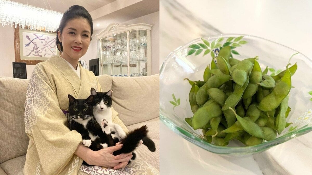 【 ねこ 】藤あや子さんの愛猫・マルが枝豆をご相伴「お気に入りでーす」 猛暑の最中に「枝豆パワーで打ち勝つぞ」