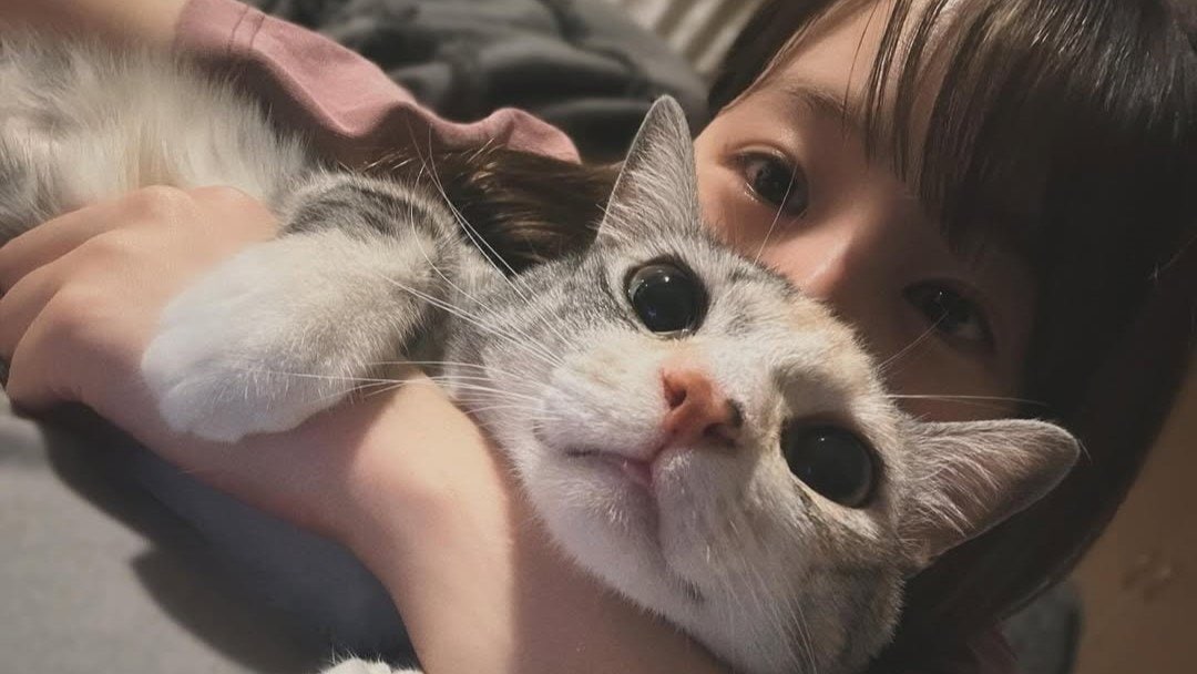 【 ねこ 】小池里奈さん「なんでこんなにかわいいの」愛猫・まめを抱きしめて潤み目