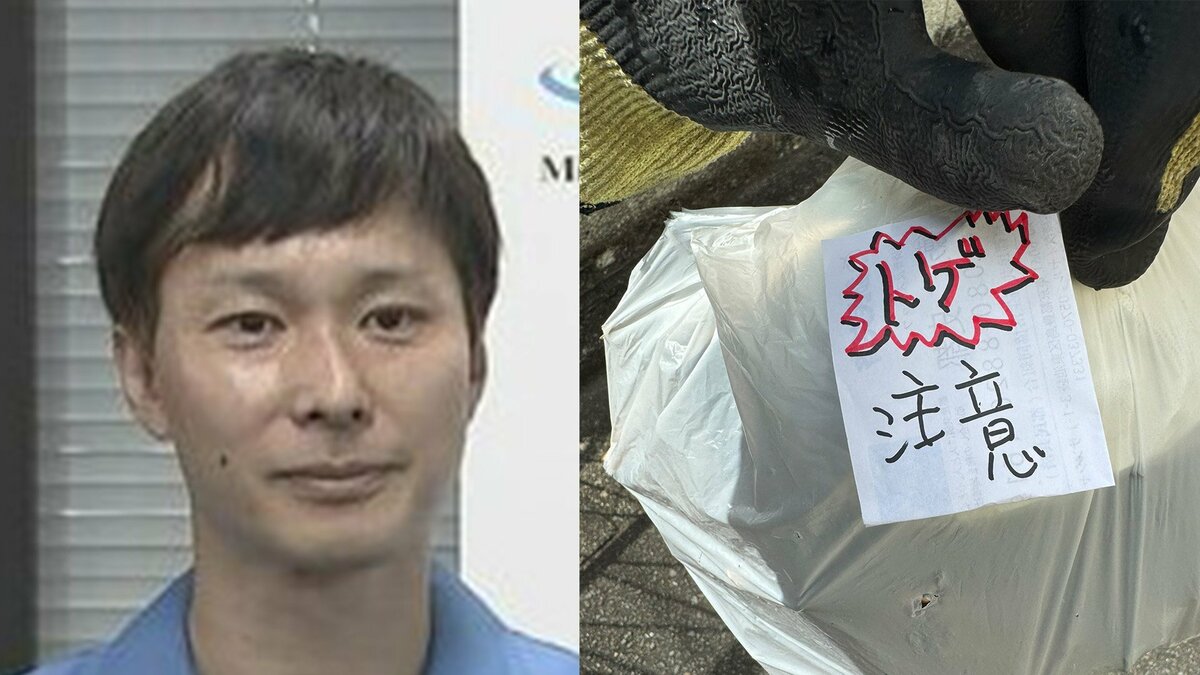 【ごみ清掃芸人】　トゲのある植物　「ごみの山の底に潜んでいると手に刺さることがあるので、わかりやすく置いておいてくれると清掃員は嬉しいです！」 【マシンガンズ滝沢】