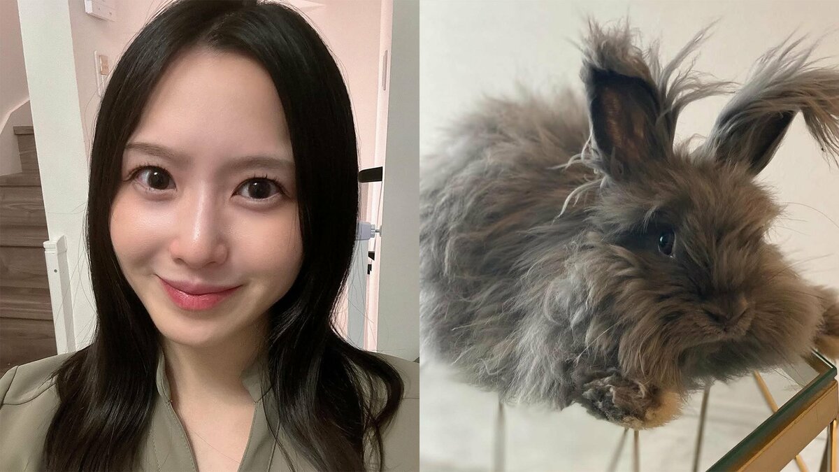 【 玉木碧 】　愛するウサギとの 突然の「別れ」に悲痛　「あんなに食欲もあって活発で急な事に受け止められません」