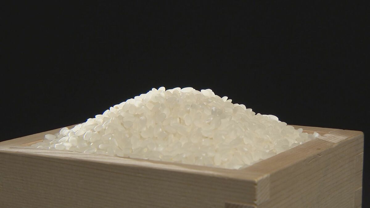 「向こう3か月」のコメ価格見通し大幅上昇　新米は高止まりか　上げ幅は過去最大