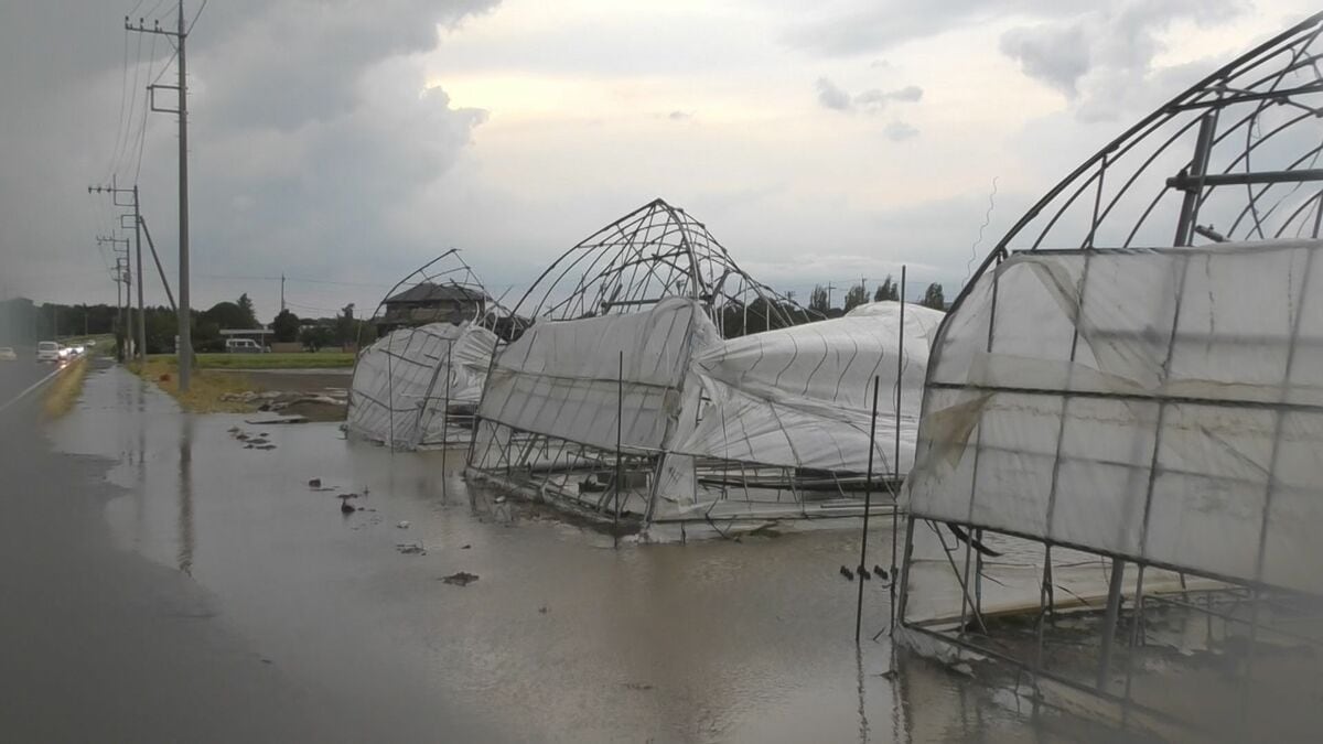 3日の栃木・茨城の突風被害は「ダウンバースト」か「ガストフロント」　ビニールハウス倒壊などの被害　地元気象台が現地調査