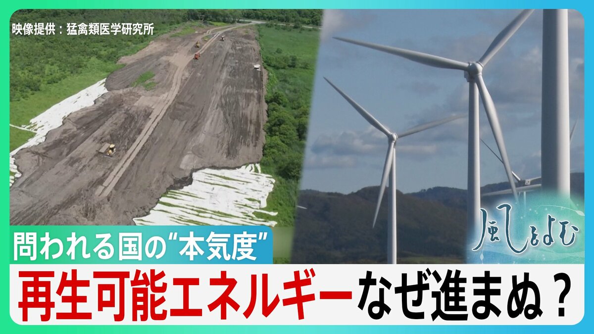 「壊滅的な気温上昇」それでも進まぬ再生可能エネルギー... あくまで“民間事業”かそれとも“支援”か　問われる国の再エネへの本気度【サンデーモーニング】