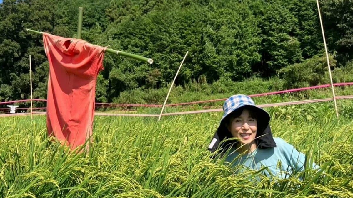 【 磯野貴理子 】 「鳥獣対策に案山子（かかし）たてました」　田んぼの鳥獣対策と稲の実りを報告　珍しいフクロウの姿も