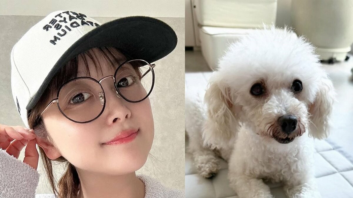 【 鈴木奈々 】 「新しい家族が増えました」 5匹目の保護動物を迎え入れ喜び 白いふわふわトイプードルが仲間入り
