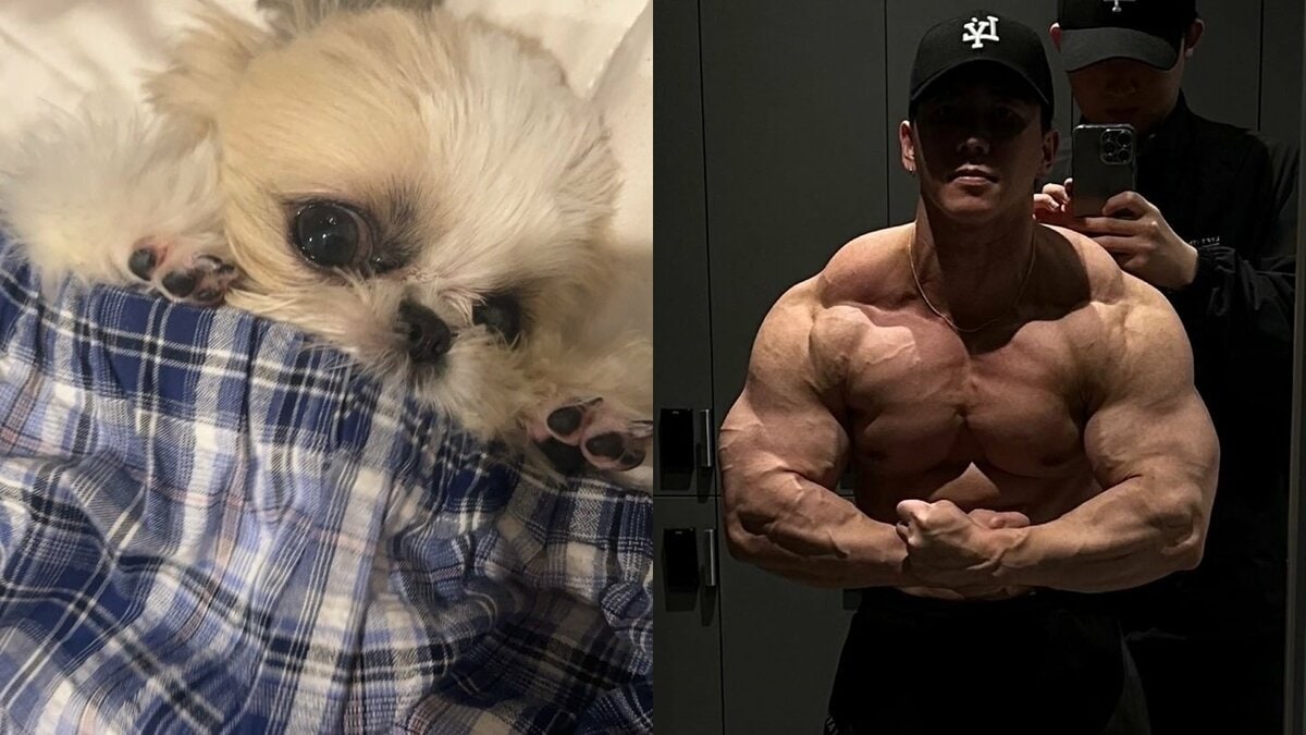 【 横川尚隆 】愛犬・茶々のお気に入りは「おれの大胸筋上部」 フォロワー絶賛「戦車みたいな体」