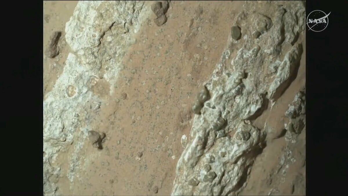 火星に生命がいた痕跡？　NASA発見の岩に生命の痕跡の可能性