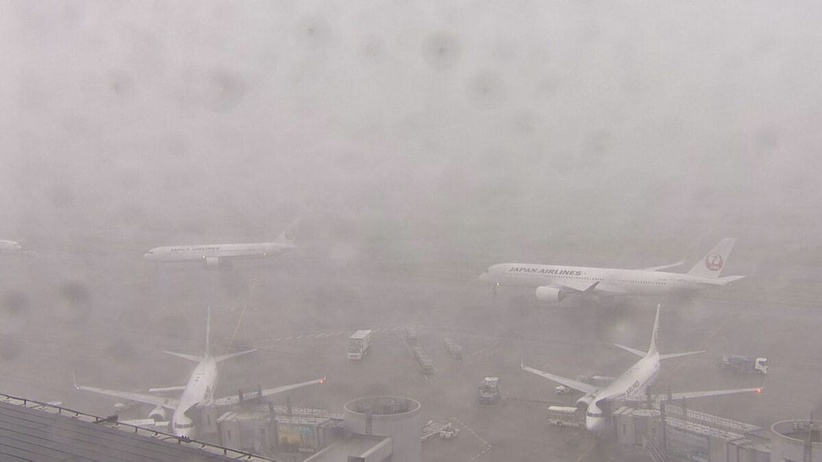 雷雨の影響で空の便に大幅な乱れ　ANAは73便欠航　JALは55便欠航